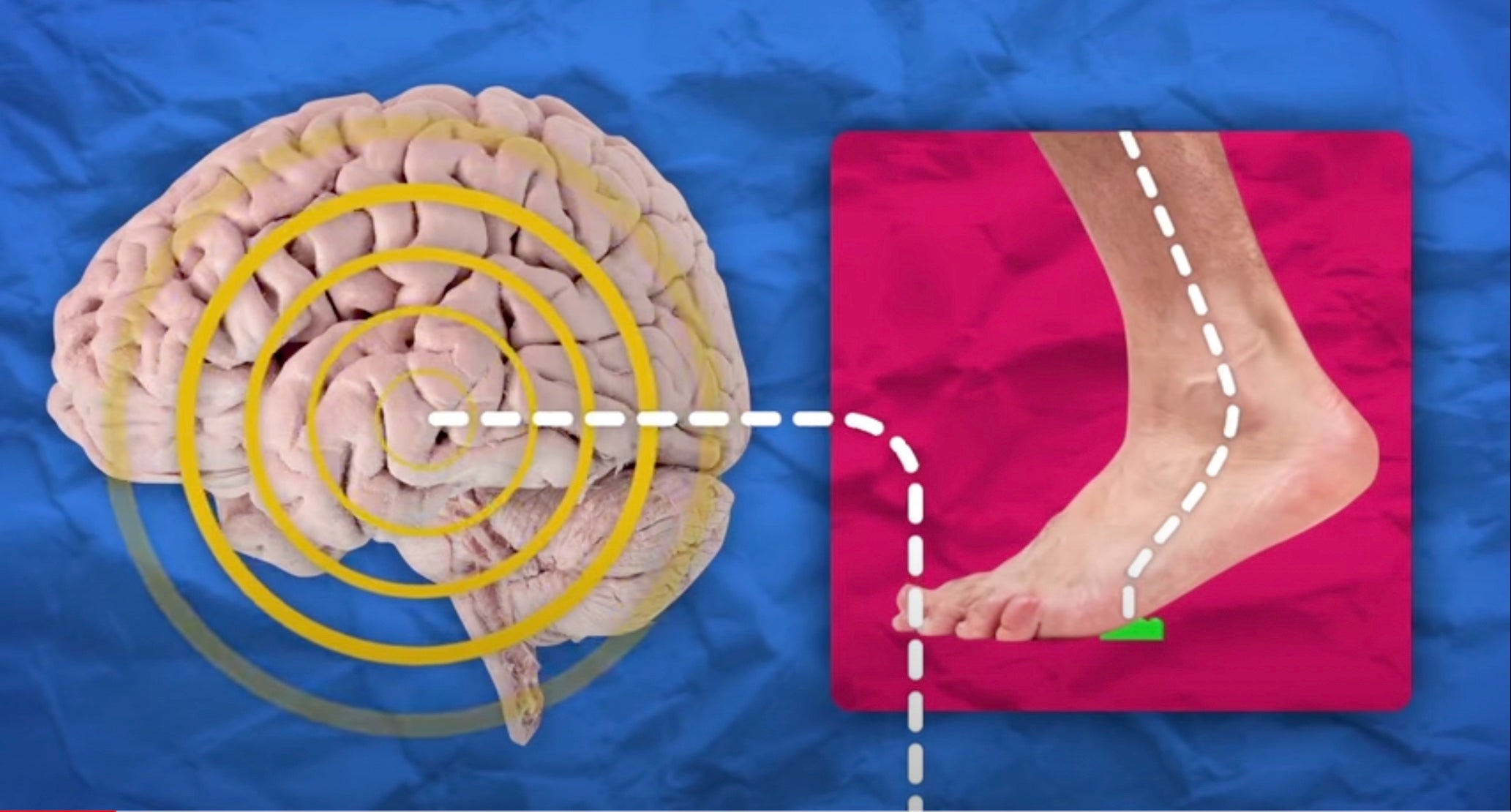 La douleur ressentie en marchant sur un Lego est intense, et c'est pourquoi nous avons créé l'aspirateur Lego Pick-Up Bricks. Extrait de la vidéo de l'American Chemical Society.